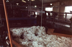 Wool Scouring Process